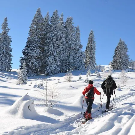 Hotel City 4* Villach